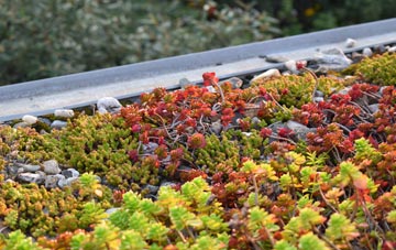 the cost of Glenbranter green roof installation