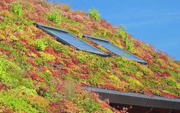 Glenbranter living roof systems